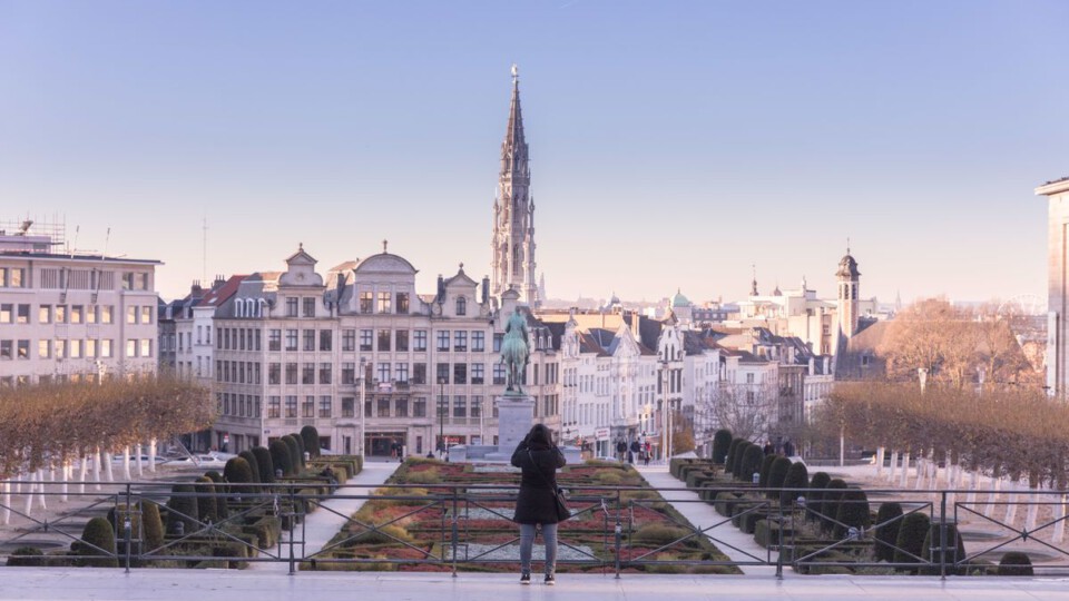 Vom Brüsseler Kuntstberg aus, habt ihr eine tolle Sicht auf die Stadt mit dem Rathausturm © VisitFlanders