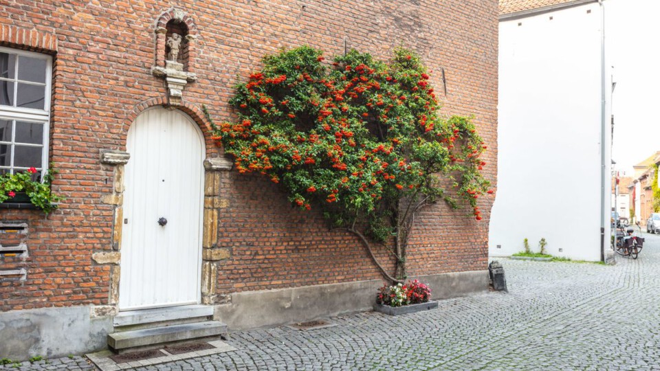 In Mechelen gibt es noch viele lauschige Gassen © VisitFlanders